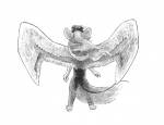 andersen angel_wings back fire gadget sketch wind wings // 1988x1534 // 399.7KB